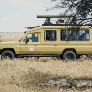 Safari Gran Migración Tanzania – 10 días