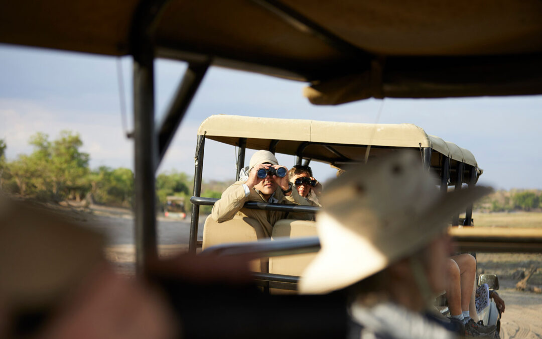 Cuánto cuesta un safari a medida en África Oriental | Kirengo Tours