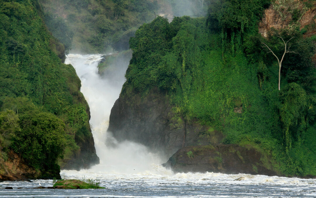 Qué ver en un safari en Uganda | Kirengo Tours