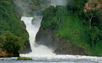 Qué ver en un safari en Uganda | Kirengo Tours