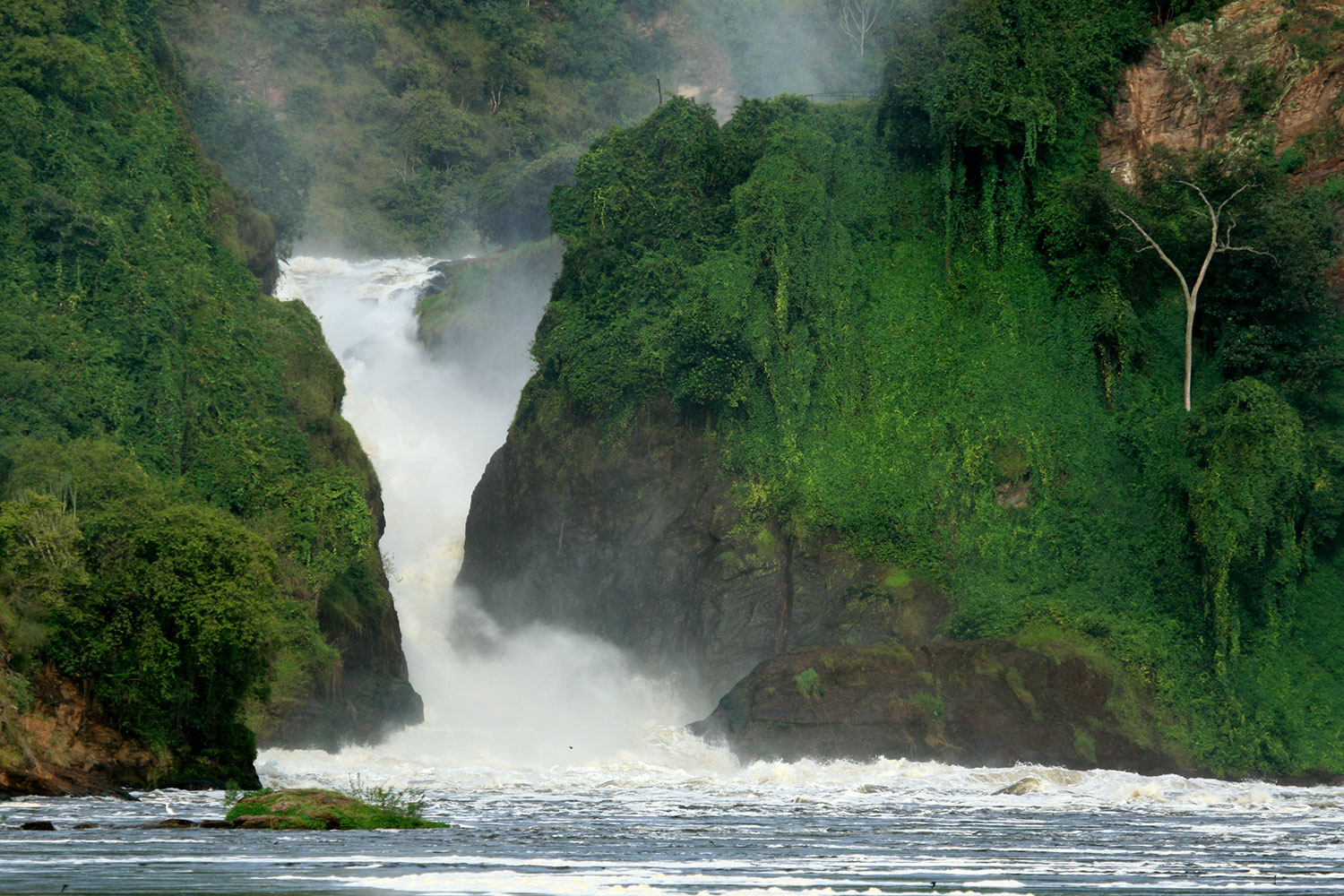 Qué ver en un safari en Uganda | Kirengo Tours