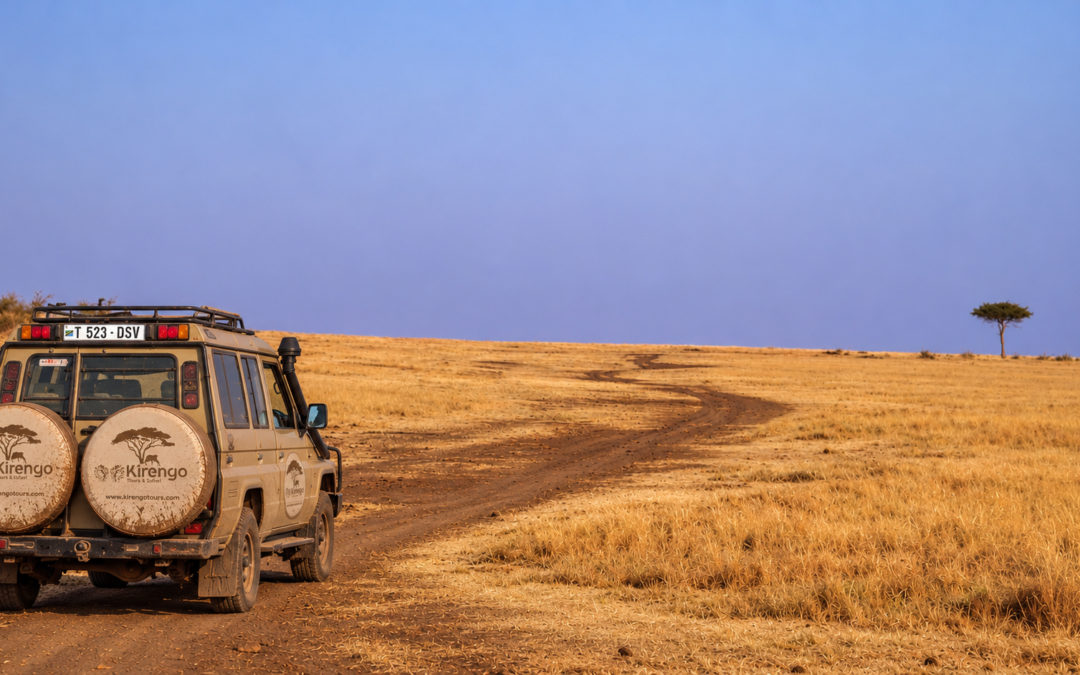 Kenia o Tanzania: cómo elegir el destino perfecto para vuestro safari